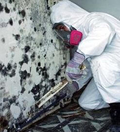 mold-remediation-hazmat-suit-biotek-environmental
