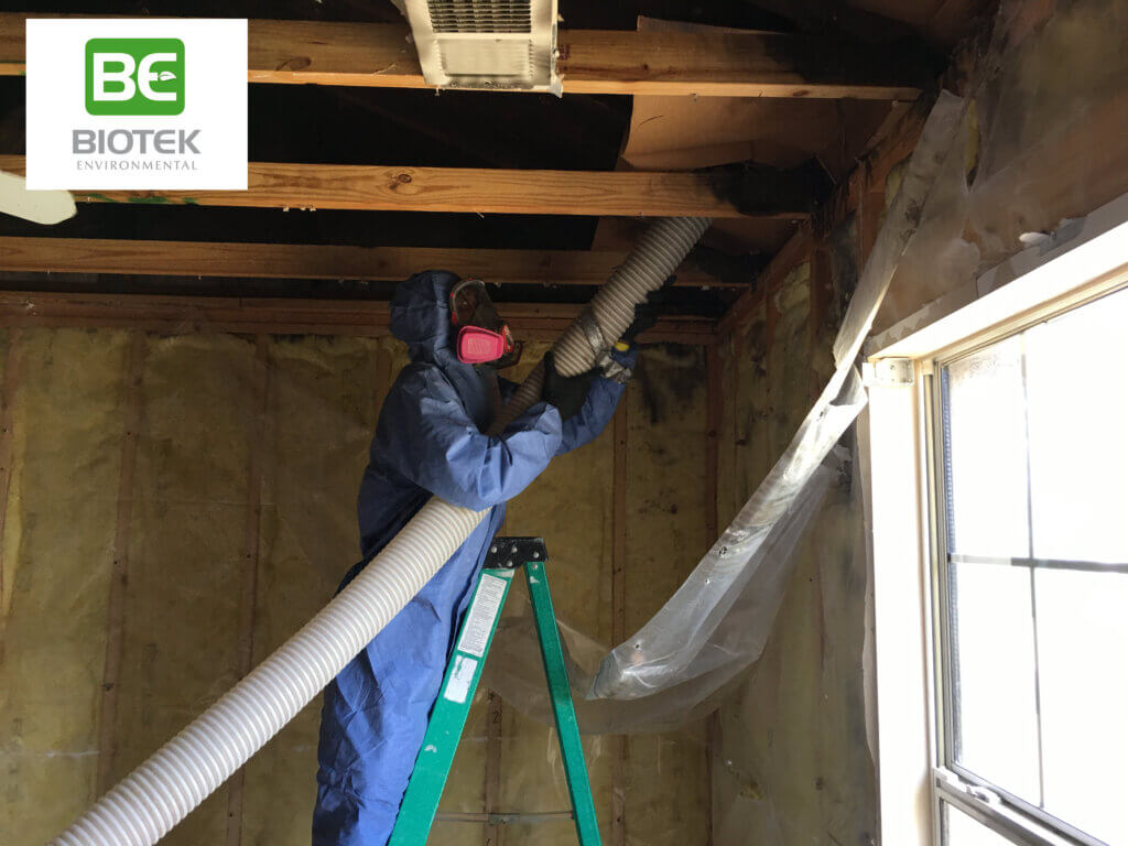 BioTek Environmental professional removing mold from home where the roof and walls have been remove.