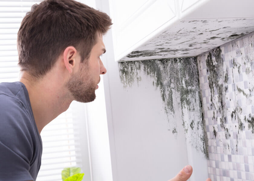 black mold in the corner of the wall of a home. Owner look at it at in shock