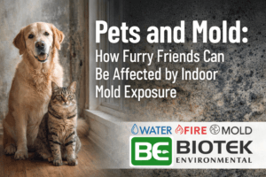 a blog title card with a cat and dog and the title Pets and Mold