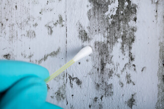 Mold-Inspections-Soot