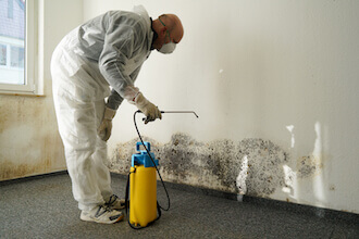 Mold removal technician wearing Hazmat suit conducting black mold remediation on a wall