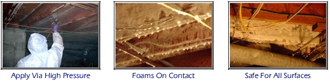 mold-remediation-application-3-photos-showing-the-process