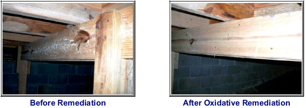 Before and After phot of remediation in crawl space under a home