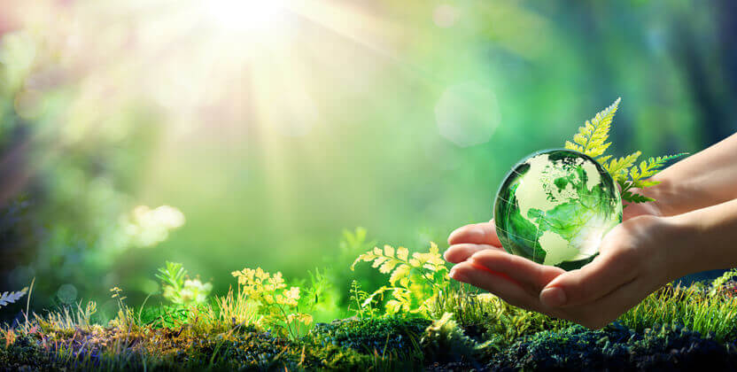 hand_holding_green_globe