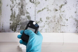 Biotek Environmental Inc. - Mold Inspections