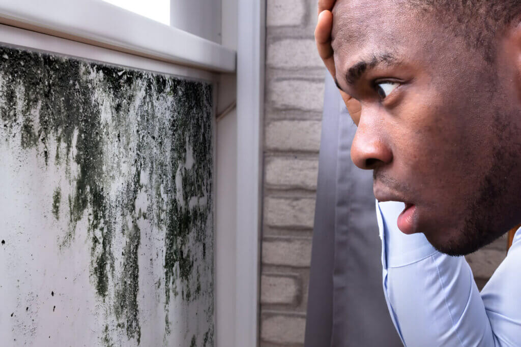 black mold under a window and a man looking at in fear