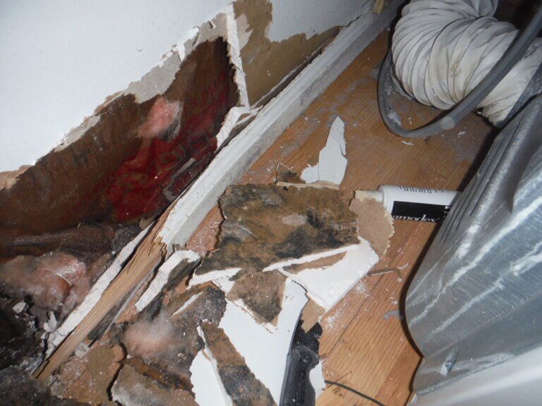 demolition and removal of infested drywall