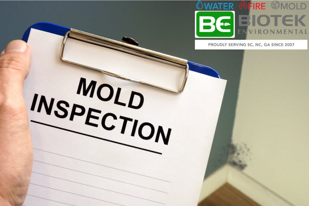 A mold inspection list to prepare for mold remediation