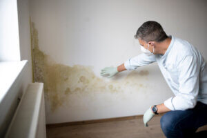 Man with face-mask and rubber gloves examining mold on interior wall of a home