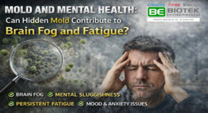 blog title card about mold and its effects on mental health
