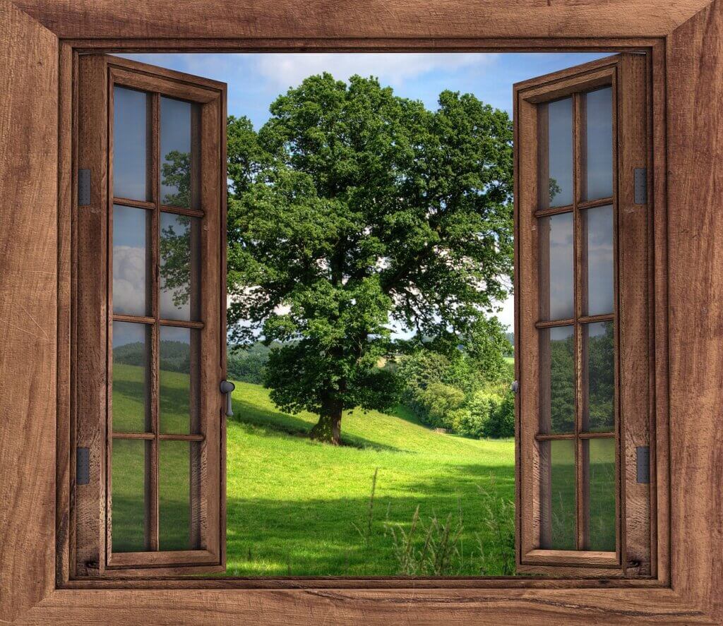 an open window in spring with a view of a green meadow and a large green tree