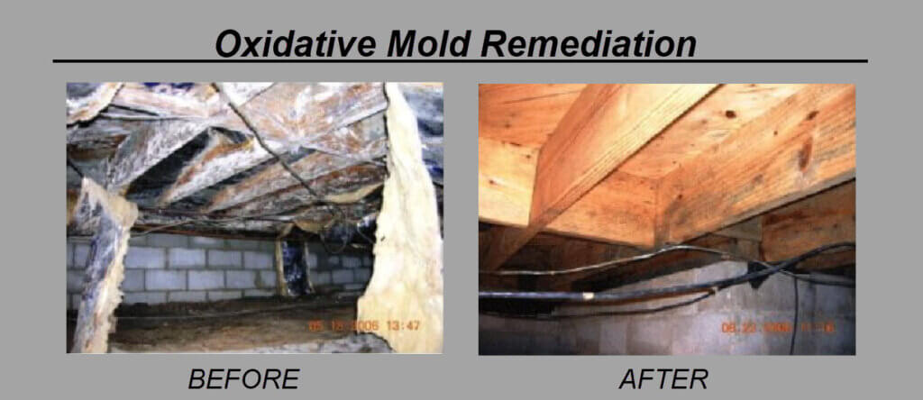 oxidative mold remediation before and after photos