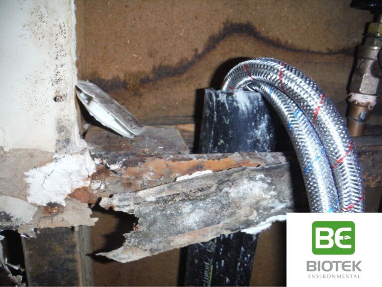 Water Damage hidden within a wall. We see water stains, rotting wood and destroyed drywall near water pipes.